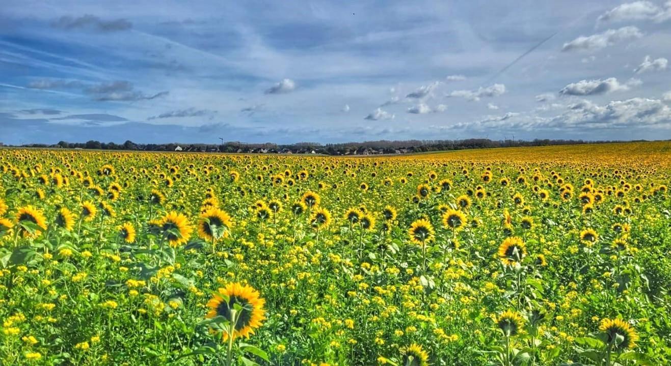 Hoeve Hofgaarde Heers Екстериор снимка