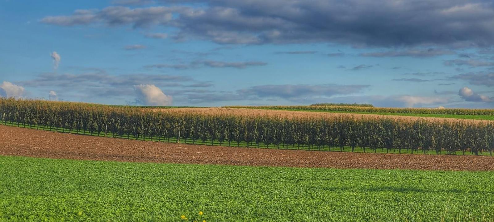 Hoeve Hofgaarde Heers Екстериор снимка