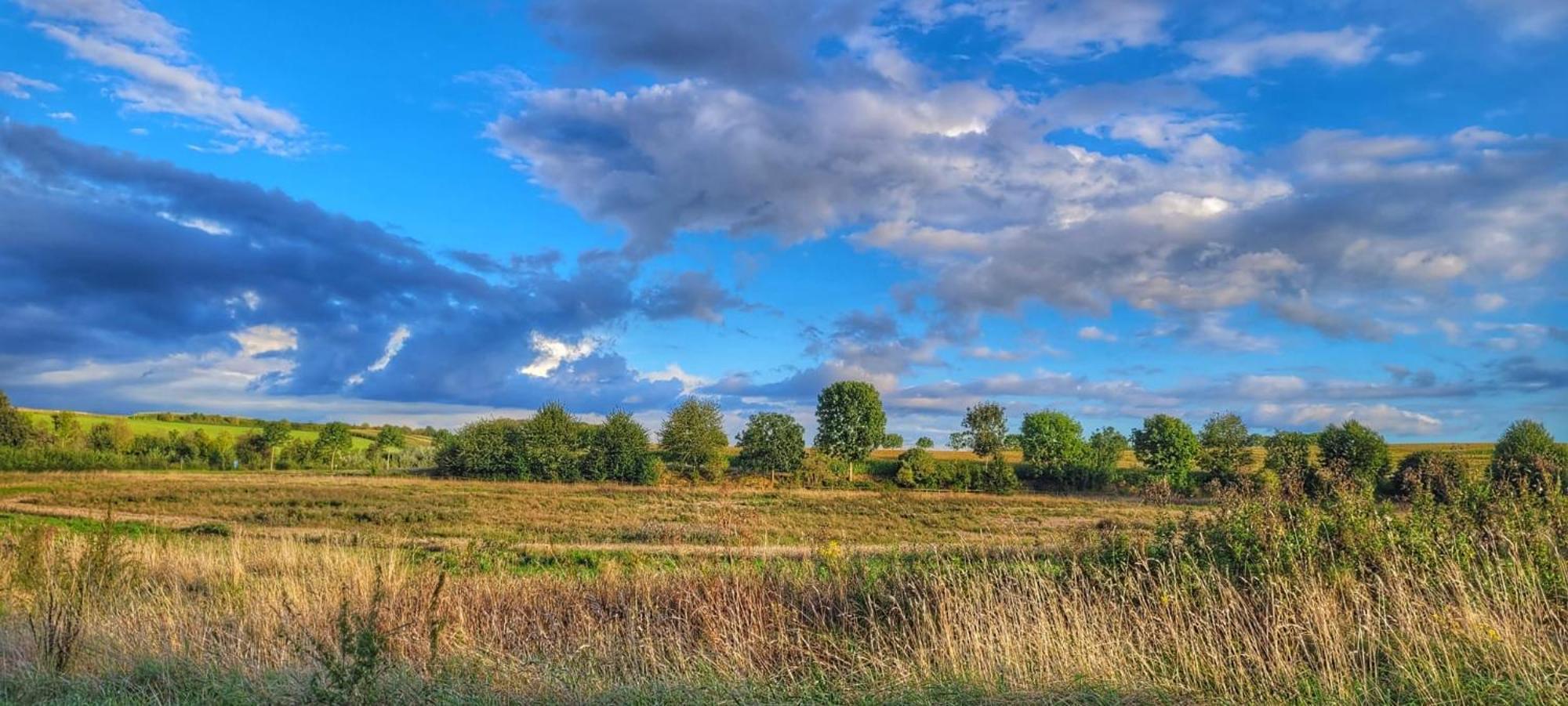Hoeve Hofgaarde Heers Екстериор снимка